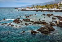 Playa Jardín با توجه به قفل باکتری مدفوع دوباره باز می شود