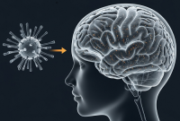 یه متخصص فاش می‌کونه: آلزایمر ممکنه اصلاً یه بیماری مغزی نباشه