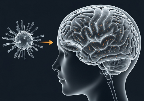 یه متخصص فاش می‌کونه: آلزایمر ممکنه اصلاً یه بیماری مغزی نباشه